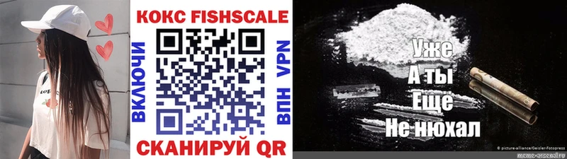 Купить  Дзержинский  COCAIN 99% 