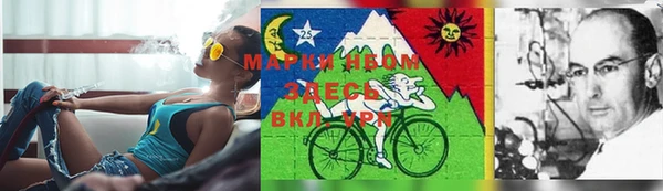 хмурый Инсар