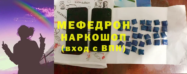 гашик Инта