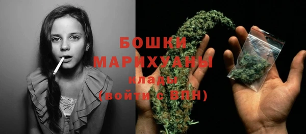 гашик Инта