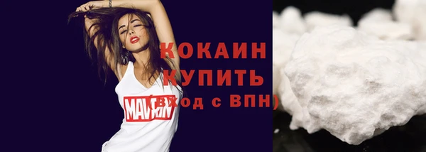 хмурый Инсар