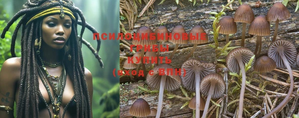 бошки Иннополис