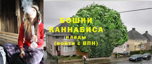 хмурый Инсар
