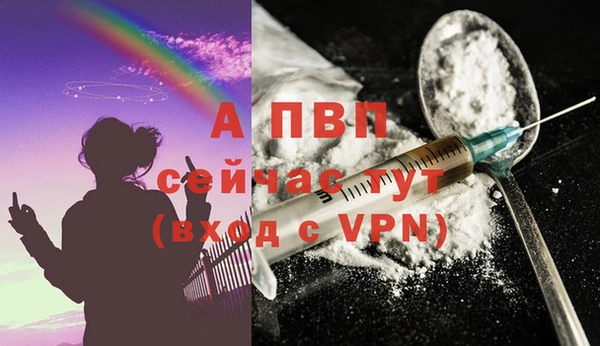 гашик Инта