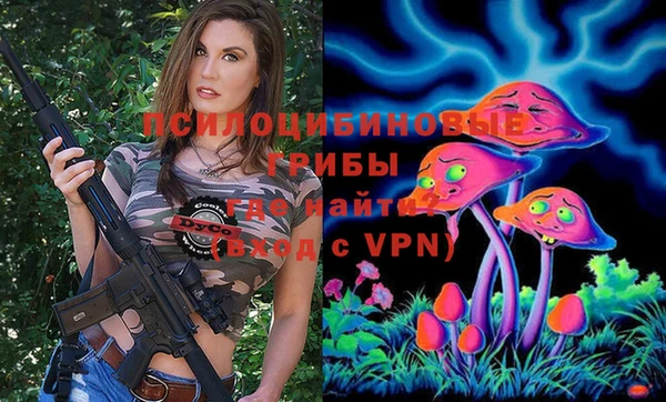 гашик Инта