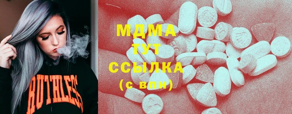хмурый Инсар