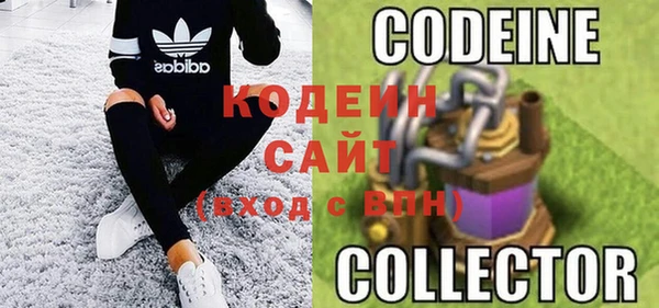 хмурый Инсар