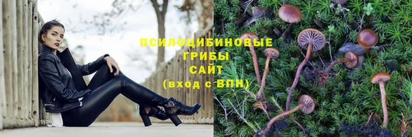 хмурый Инсар