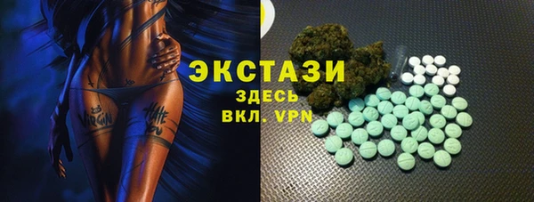 гашик Инта