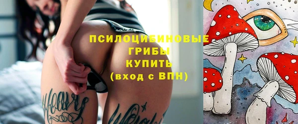 гашик Инта