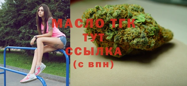 гашик Инта