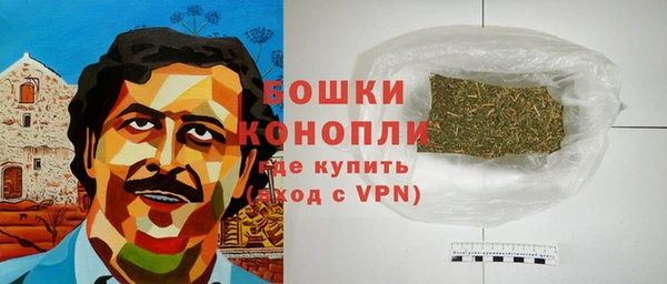 гашик Инта