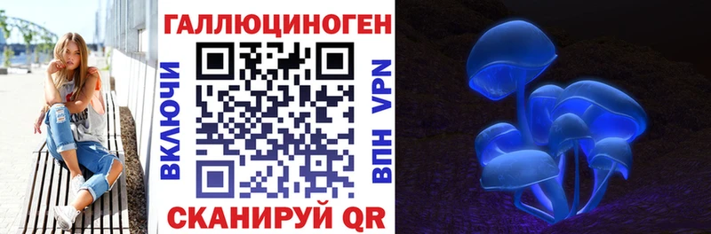 Купить  Дзержинский  Псилоцибиновые грибы Magic Shrooms 